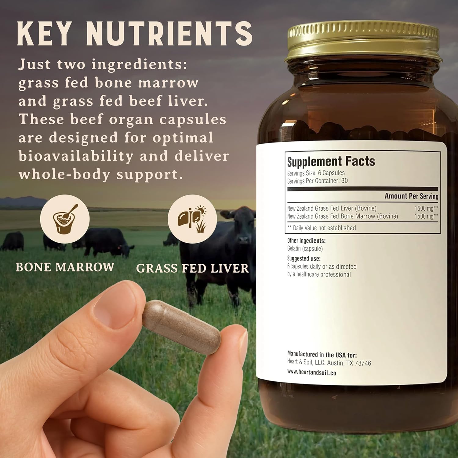 Heart & Soil – 100% Grass Fed & Finished Bone Marrow & Beef Liver from Regenerative Cattle – Supports Bones, joints, Tissue & Skin – 3000mg Libido Booster For Women & Men – Glass Bottle – 180 Capsules - Image 7