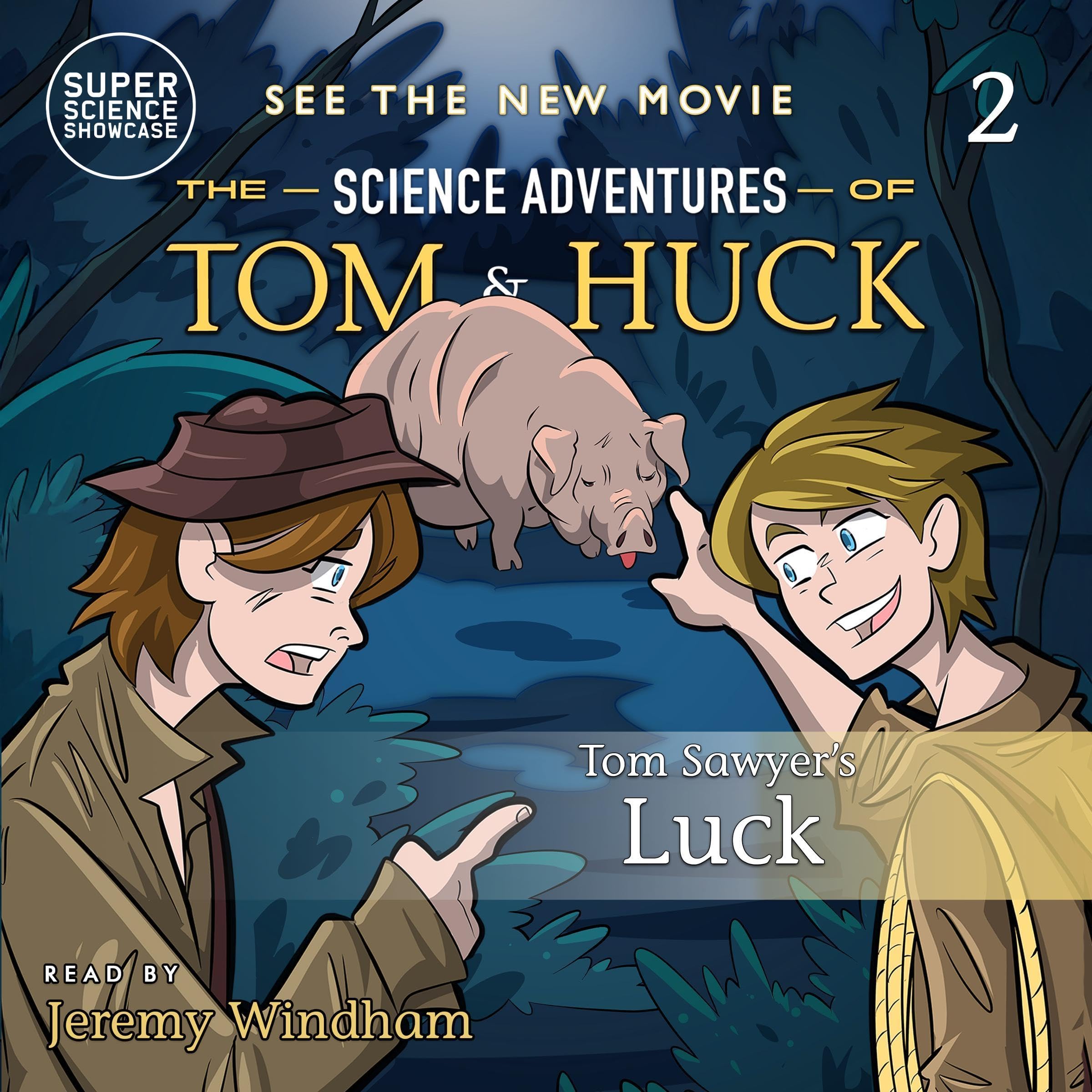 Cover art for Tom Sawyer's Luck