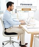 Everlasting Comfort Doctor Recommended Memory Foam Seat Cushion for Office Chairs & Car - Ergonomic Office Desk Accessories - Cushions for Tailbone Pain Relief, Sciatica (Black, Large)
