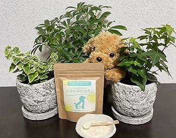 キセキのひとさじ　ペット用サプリメント Amazon | キセキのひとさじ、ペットサプリメント、ペット用健康