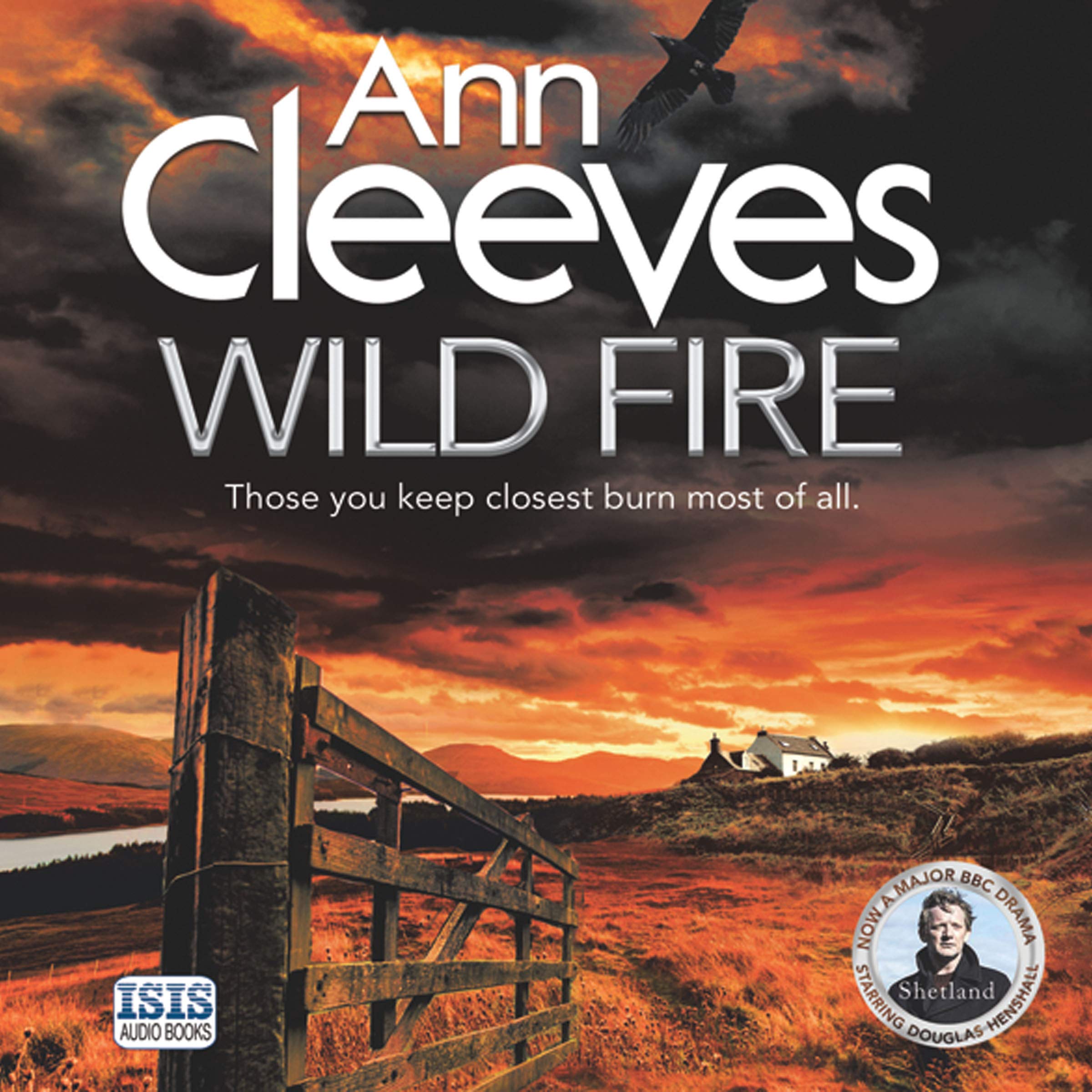 Cover art for Wild Fire