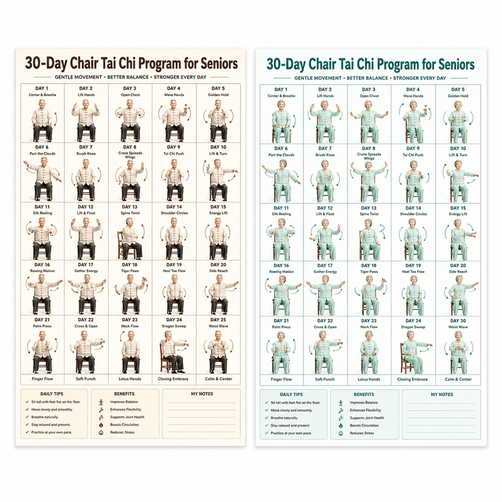 2 PCS Tai Chi Chair Workout, Chair Tai Chi, 2 Styles 30 Day Practice Plan Book Set, Unisex Exercise Handbook, Home Workout Guide for Fitness Practitioners and Daily Routine Enthusiasts