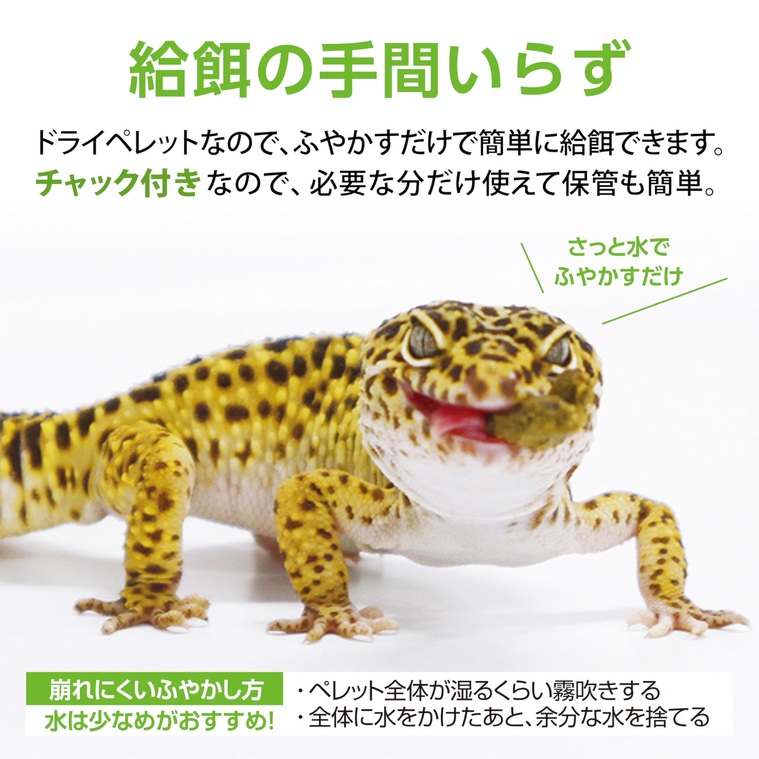 エキゾテラ GEX EXOTERRA 爬虫類用 レオパブレンドフード ドライ