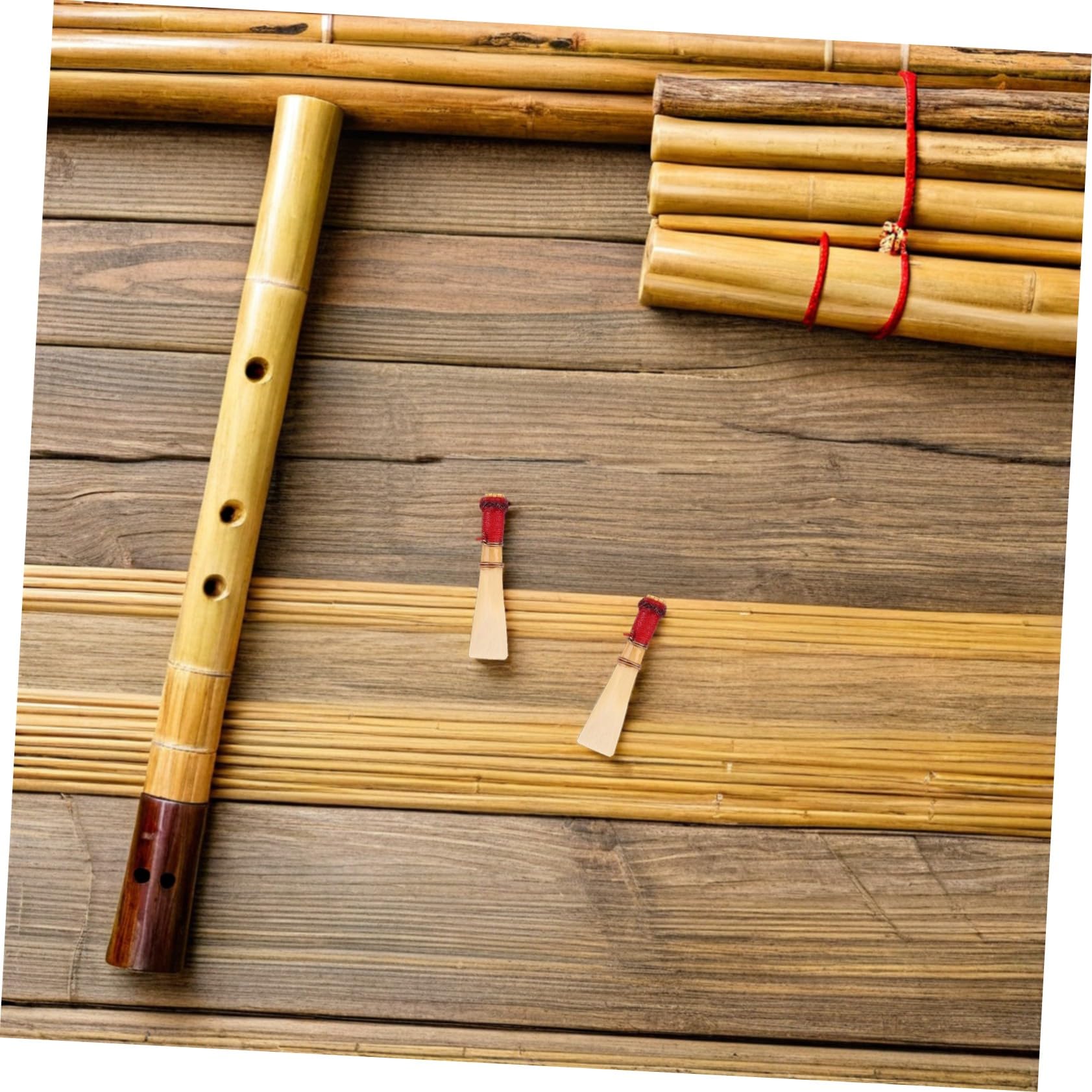 Ance per Fagotto 5 Pezzi in Reed, Parte per Strumento a Fiato | Conservazione Pratica, Set per Principianti e Professionisti D’orchestra, Accessorio Custodia e Box