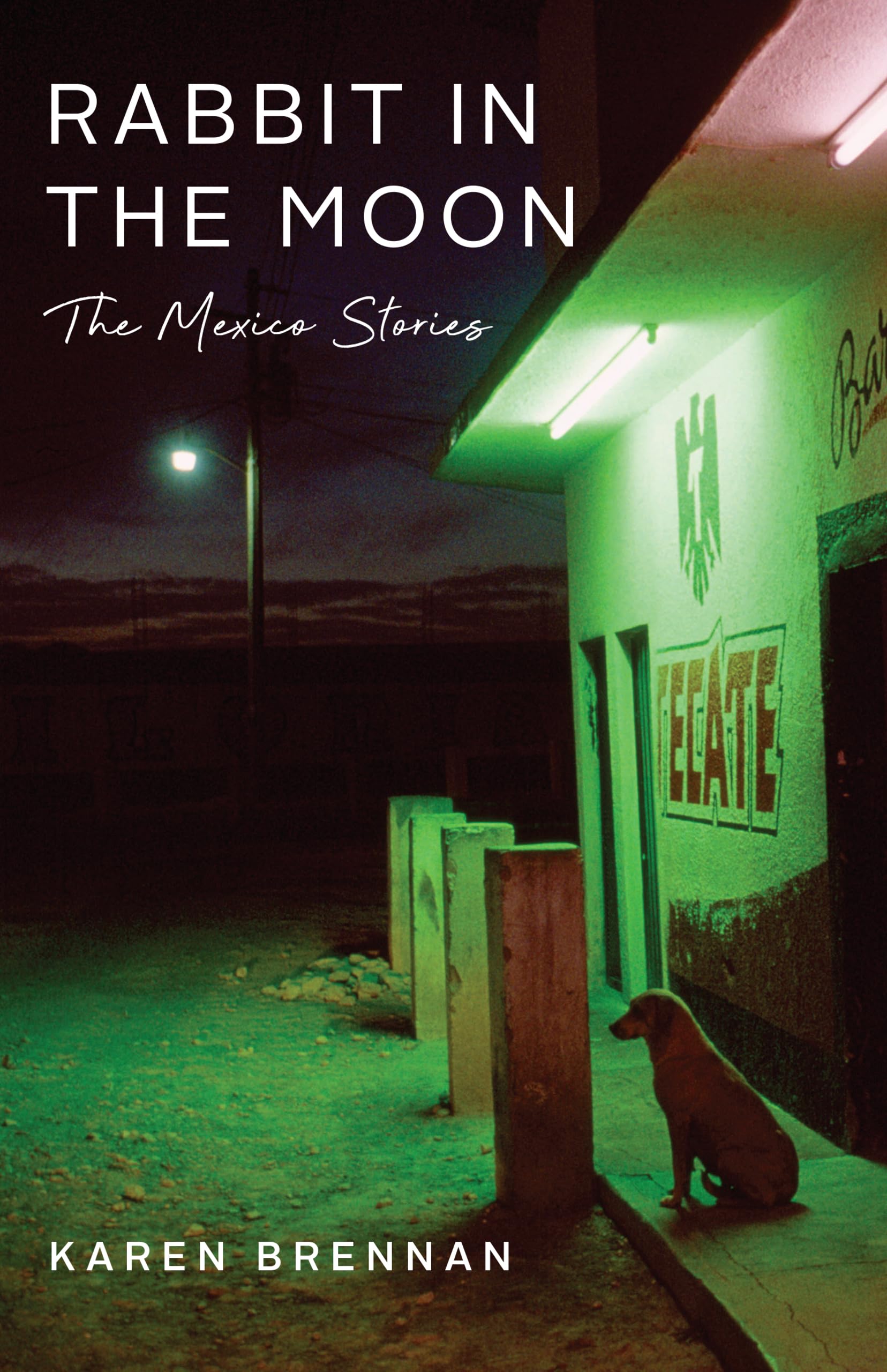 Buy Rabbit in the Moon: The Mexico Stories — BookShops.in