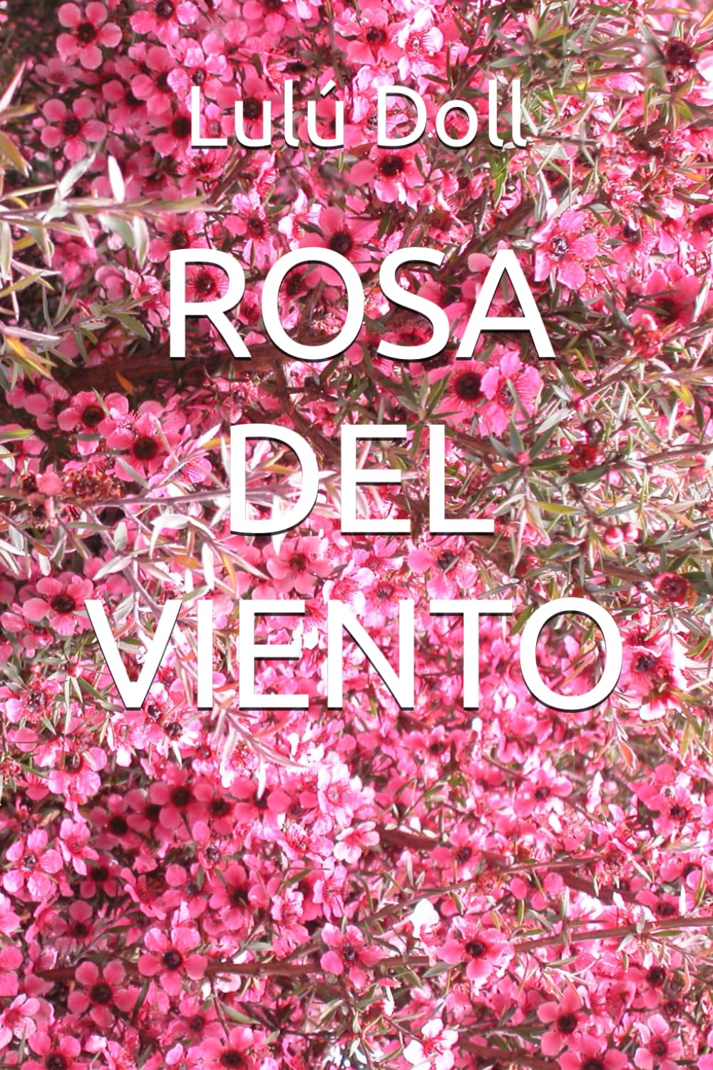 ROSA DEL VIENTO