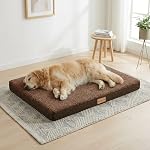 Patas Lague Lit de chien orthopédique Grand chien size 91x61cm,Lits de lit de lit pour animaux de compagnie avec couvercle lavable amovible et fond antidérapant, noir