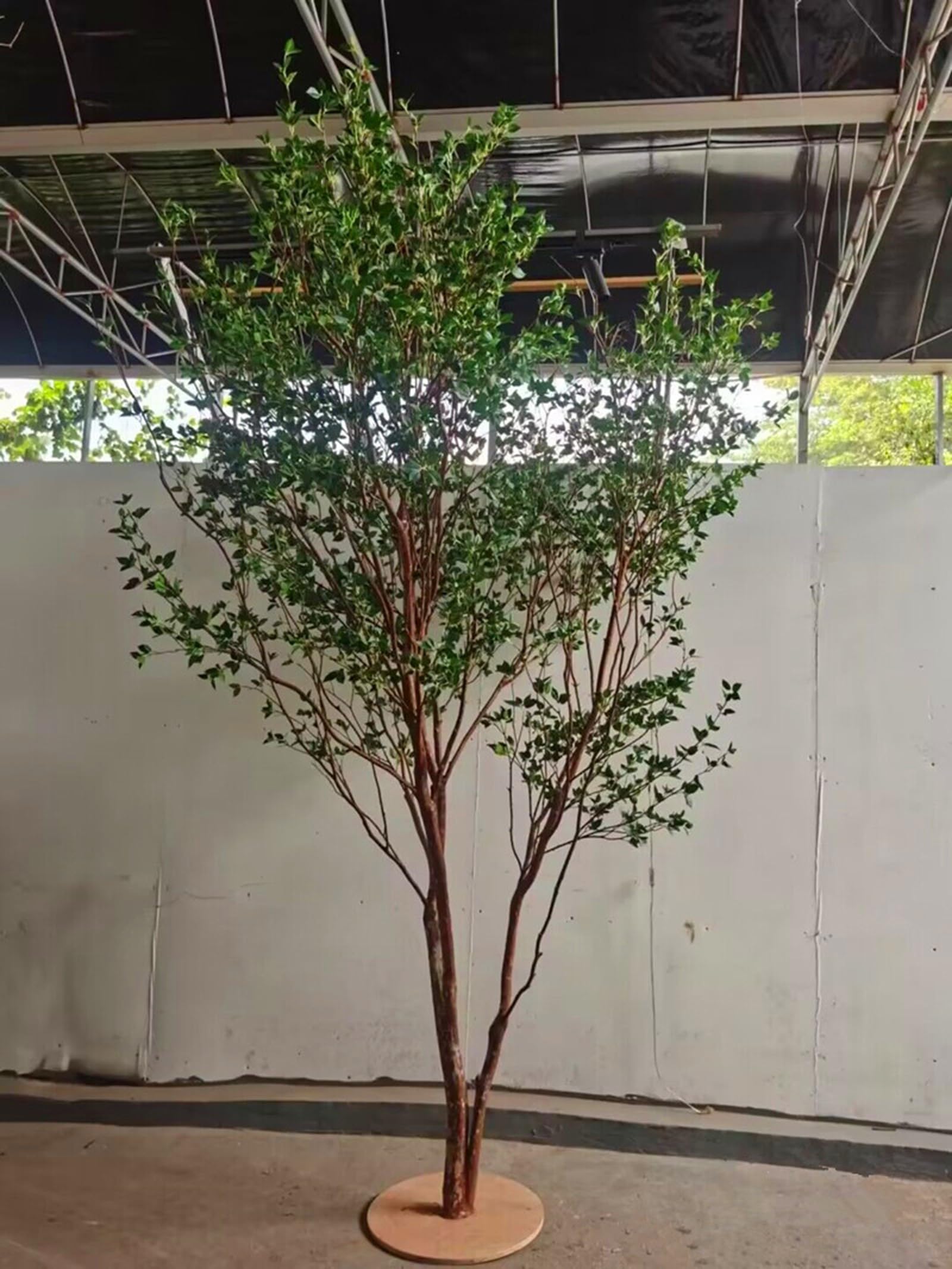 Amazon｜人工樹木 オリーブの木 高木 オリーブの木 鉢植え 人工