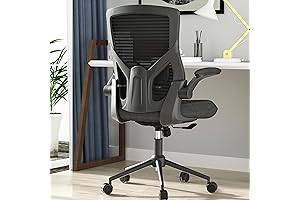 Premium Office Chair for Lower Back Pain: Experience Comfort and Support at Your Workspace