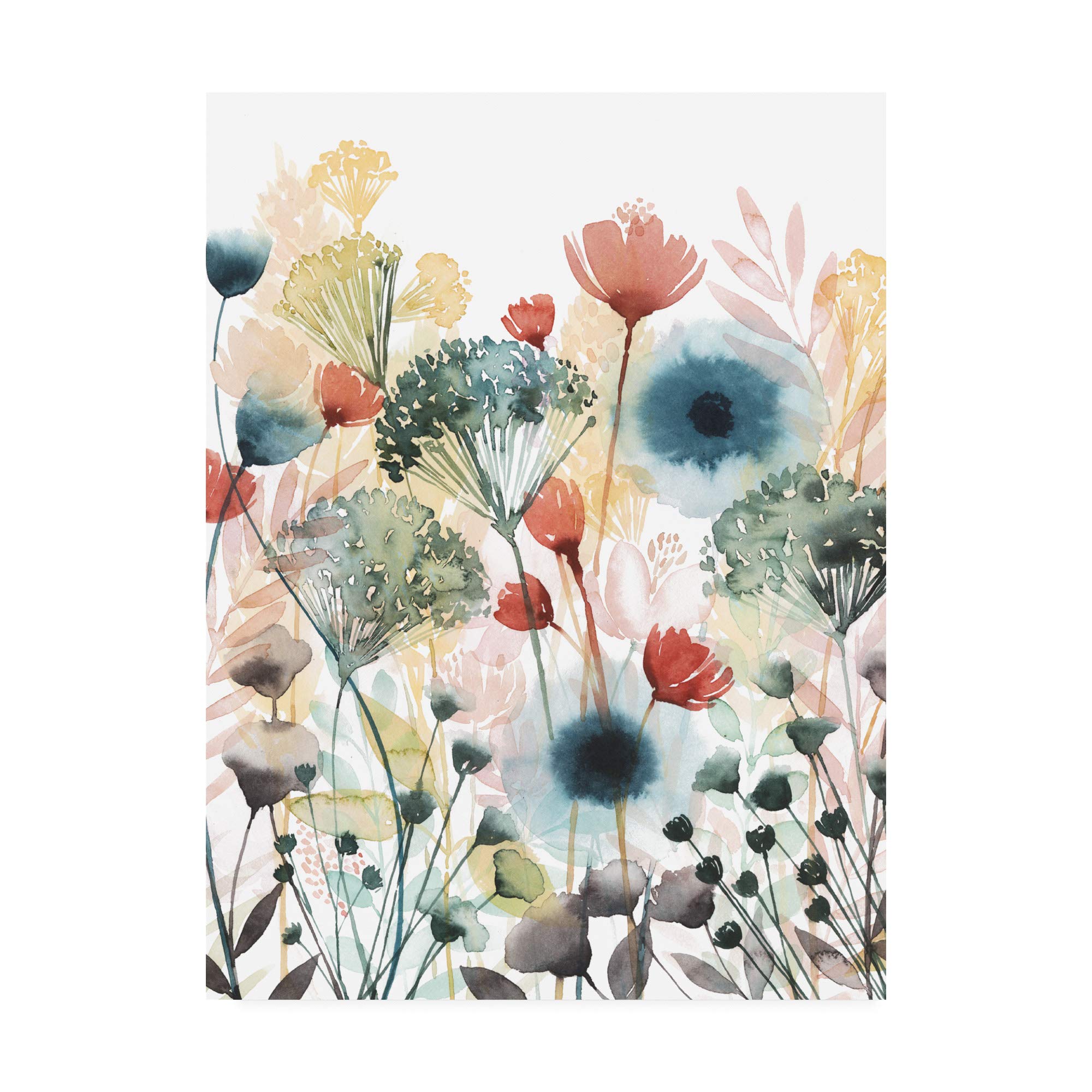 Trademark Fine Art Sunny Sundries I by Grace Popp, 35x47