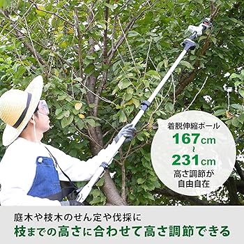 【花入10】常滑1（耳付）二代素三　高さ24.5㎝ Amazon.co.jp: バスケットゴール 高さ無段階調節 調節簡単