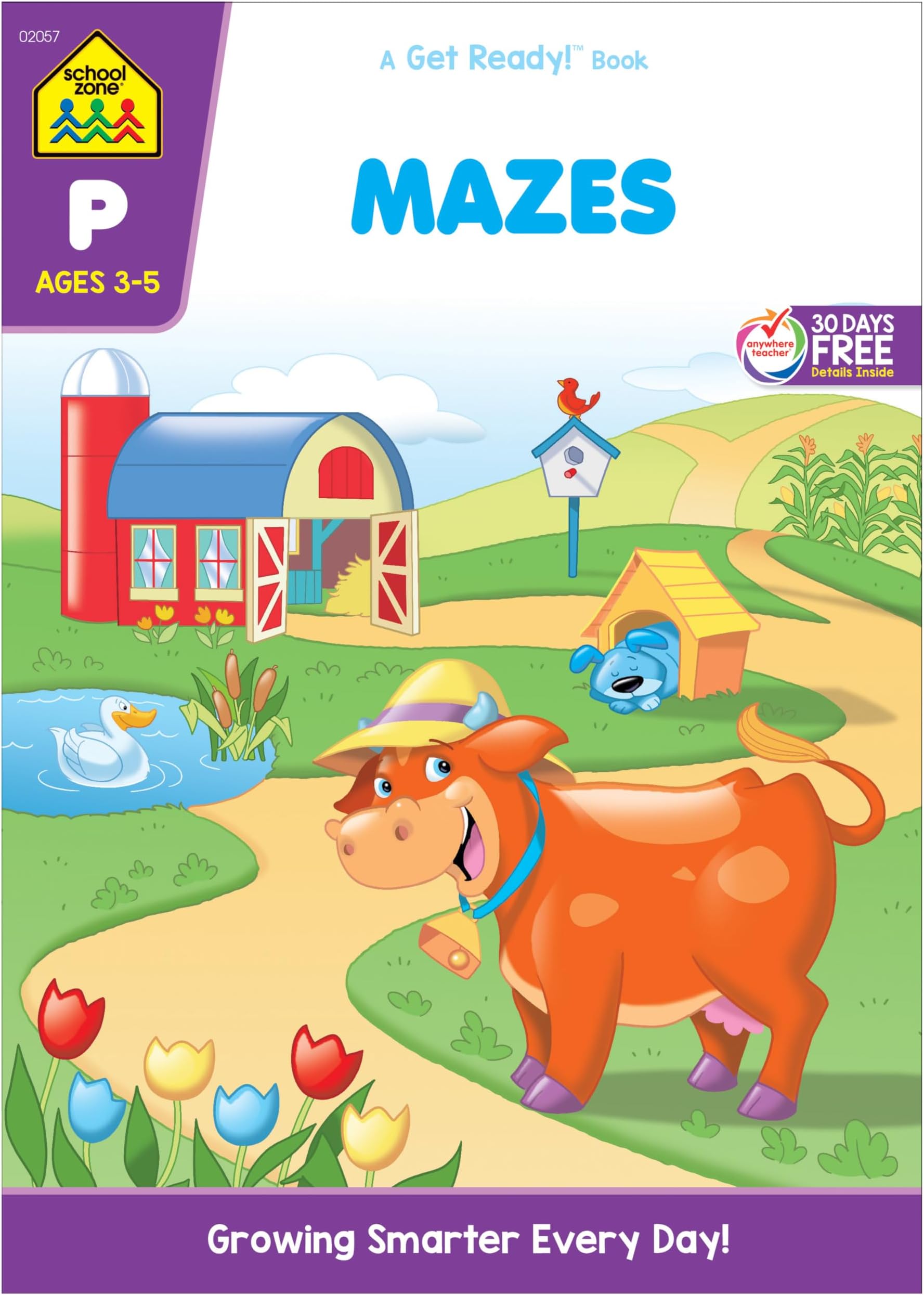 Mazes (Get Ready Books)