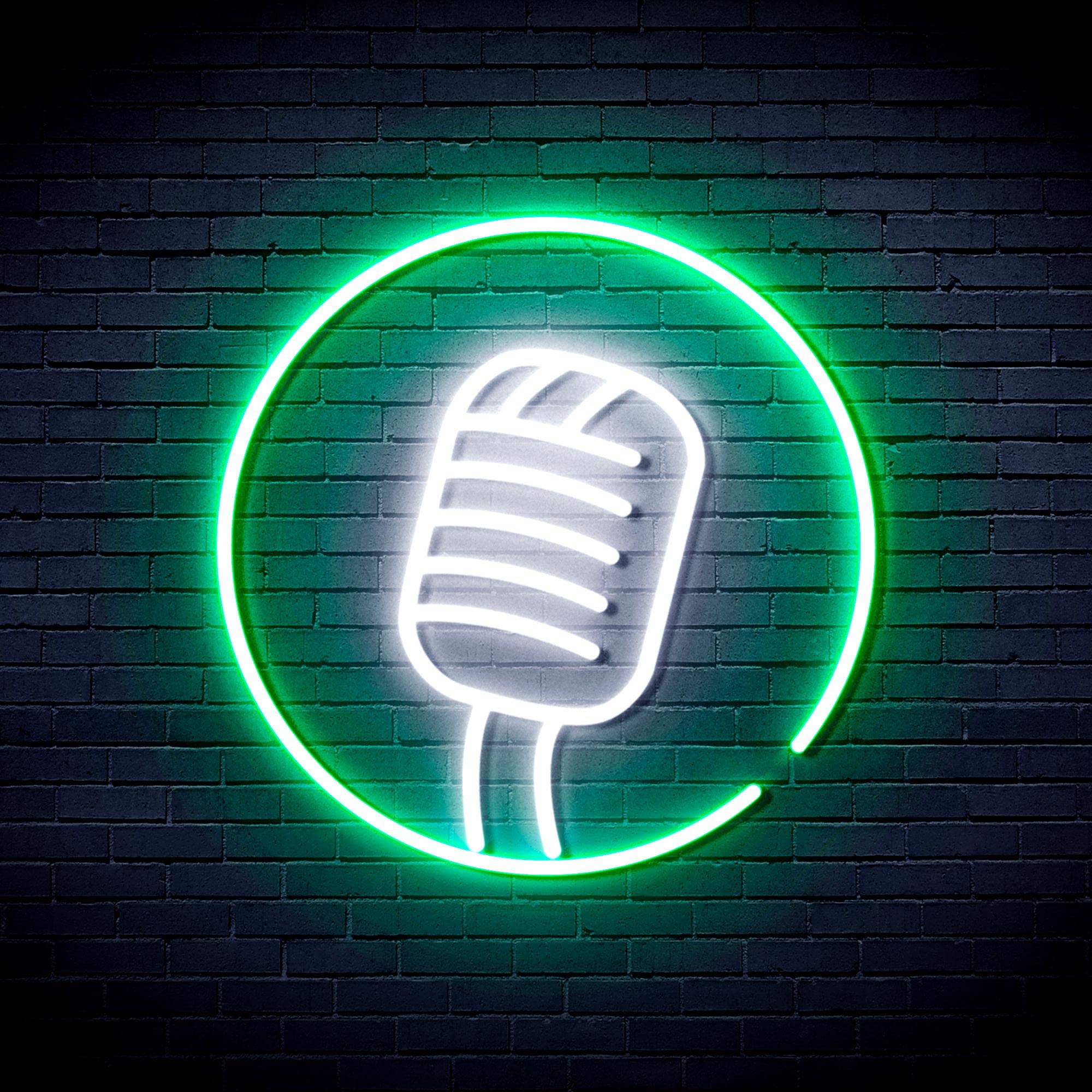 Amazon.com : ADVPRO Microphone Flex Silicone LED Neon Sign - White