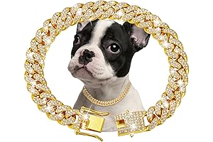 Solid Gold Dog Chain Collar: Unleash the Inner Bling of Your Canine Companion