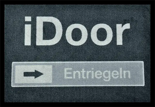 iDOOR Funny Door Mat - Non-Slip Washable Indoor Outdoor Floor Mat 50x70cm