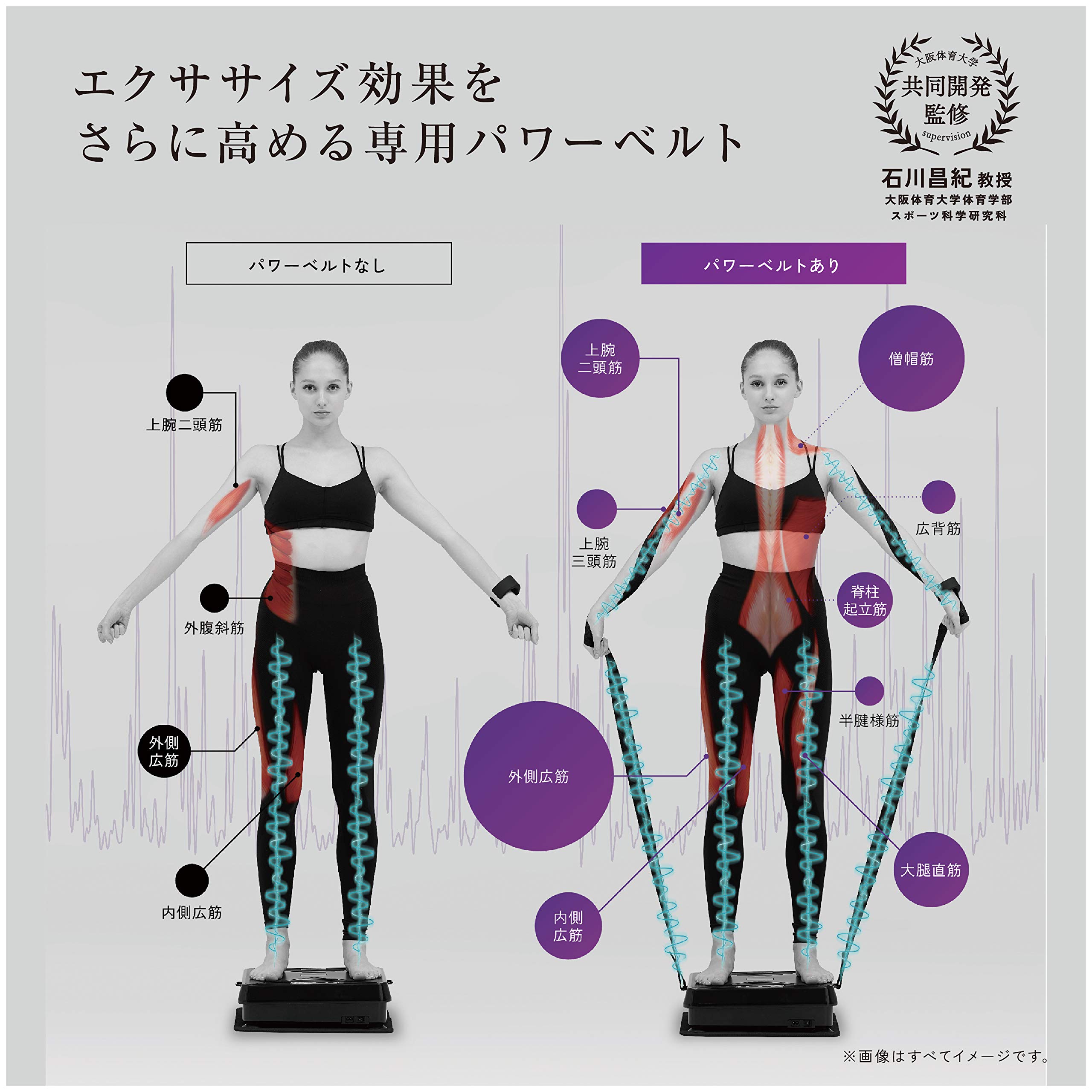 Amazon.co.jp: アテックス ATEX ルルド シェイプアップボード ブラック 