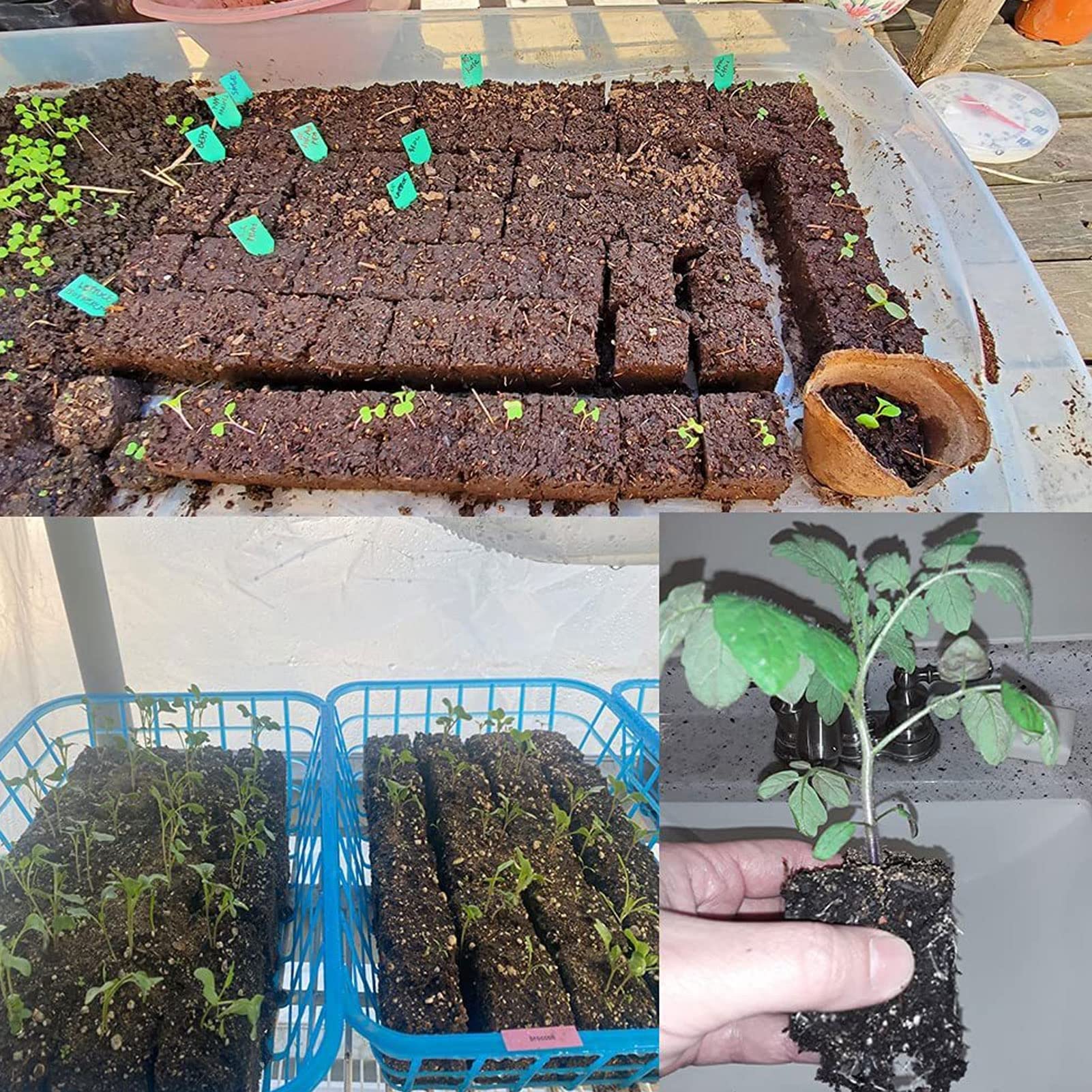 Outil de Blocage du Sol avec Une poignée Confortable Bloqueur de Sol en Acier galvanisé de qualité supérieure pour Une Transplantation de semis Efficace dans la nurerie de