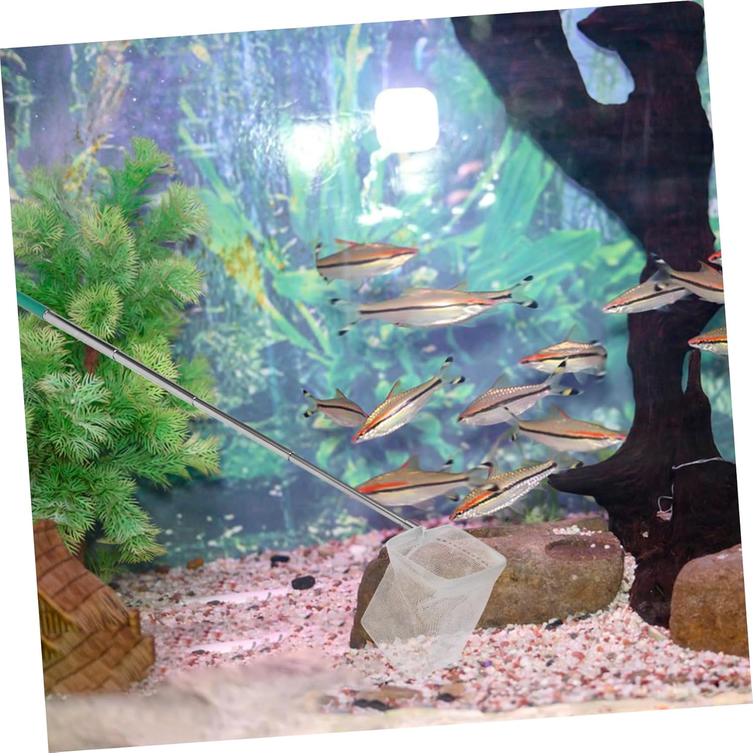 VANZACK Skimming Net Fish Net for Aquarium Fine Mesh Fish Net Shrimp Net for Aquarium Stainless Steel