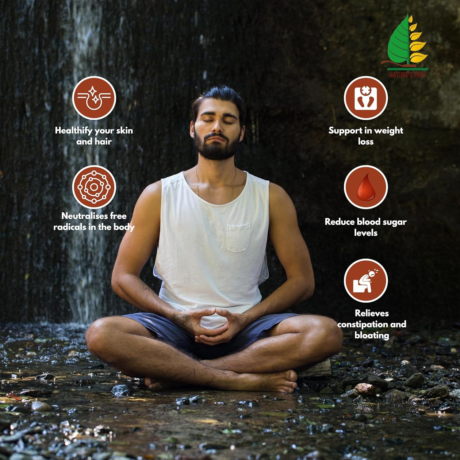 NATURE'S TRAY Basil Seeds (235g) | Nutrient-Rich Sabja Seeds for Healthy Lifestyle | Natural Basil Seeds for Eating | 100% Vegan, Packed with Essential Nutrients for Wellness NATURE'S TRAY Basil Seeds (235g) | Nutrient-Rich Sabja Seeds for Healthy Lifestyle | Natural Basil Seeds for Eating | 100% Vegan, Packed with Essential Nutrients for Wellness