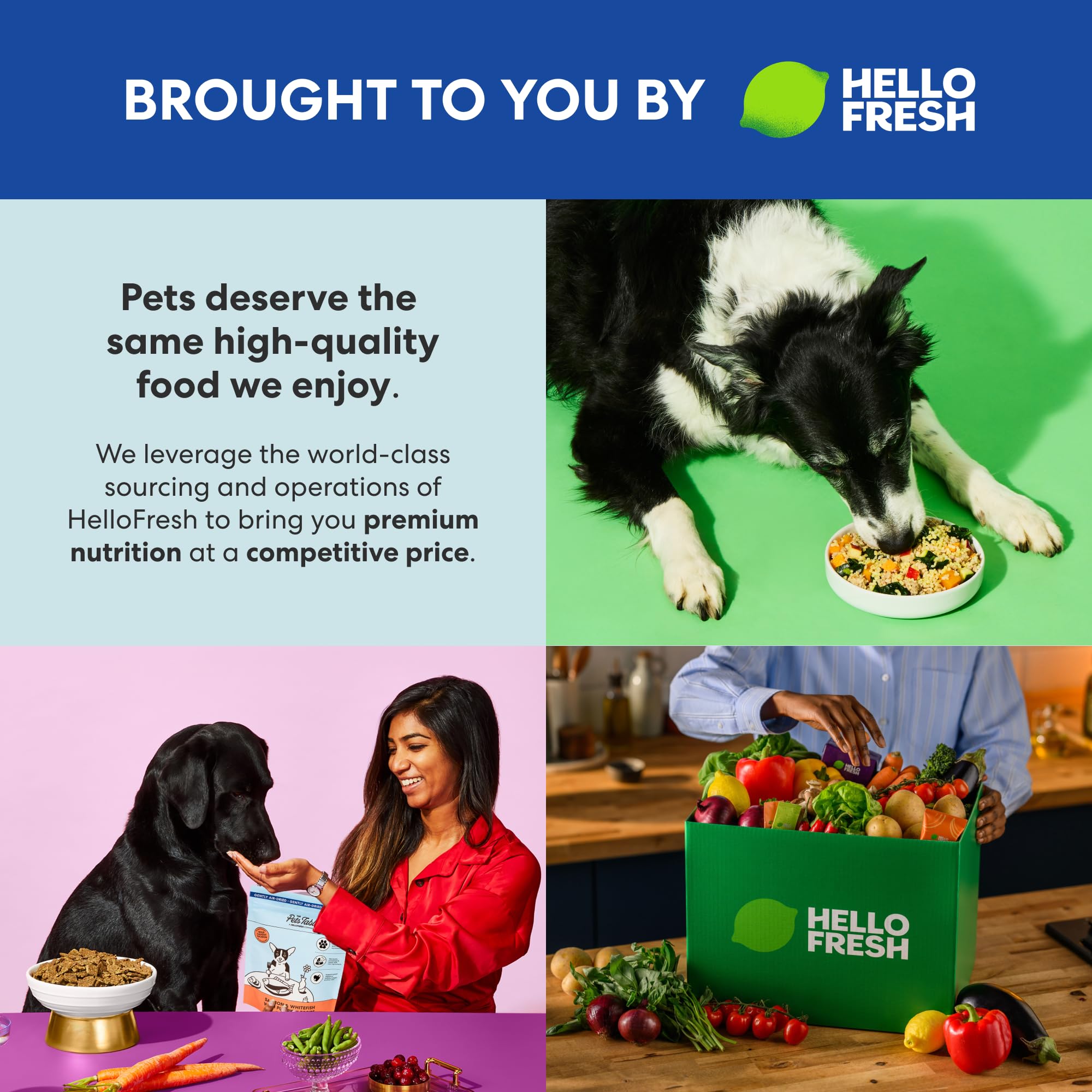 The Pets Table Alimento para perros secado al aire para pollo y batata, bolsa de 1,4 l