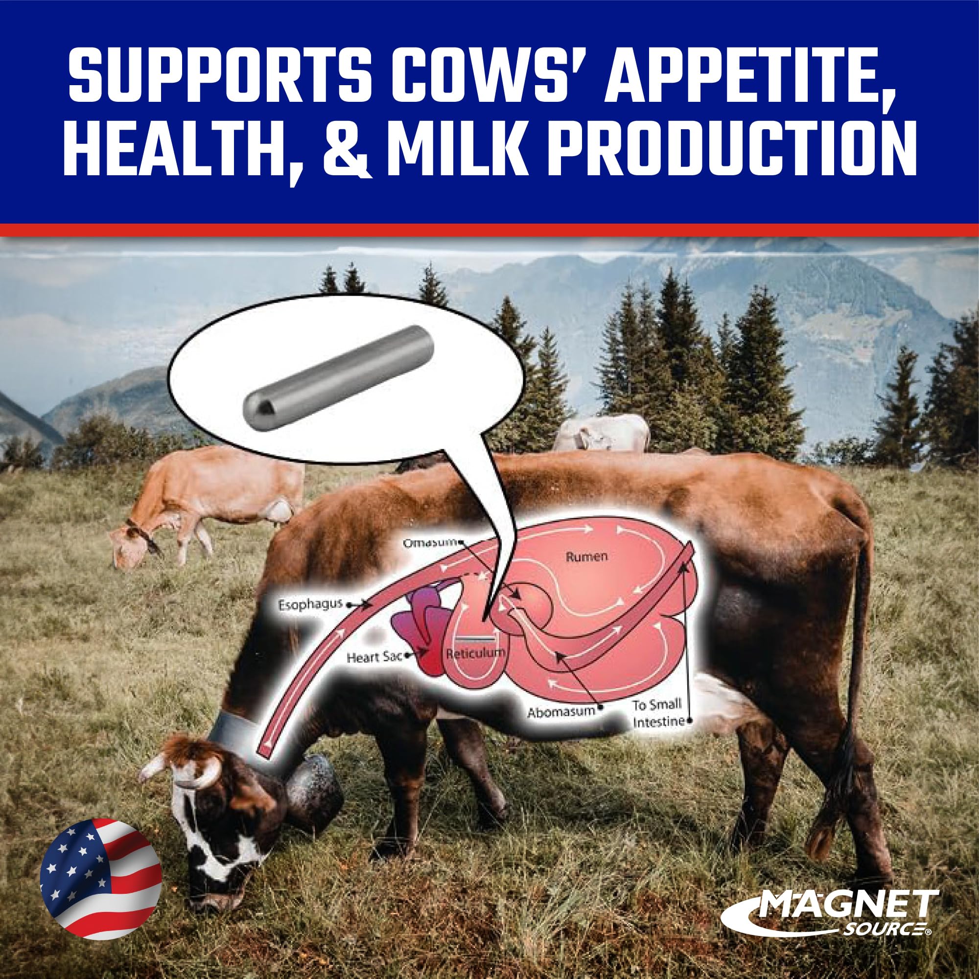 Master Magnetics Original Cast Alnico 5 Cow Magnet - Strong Heavy-Duty Magnets for Cows - Collects Nails and Other Tramp Iron — Amazon image 9