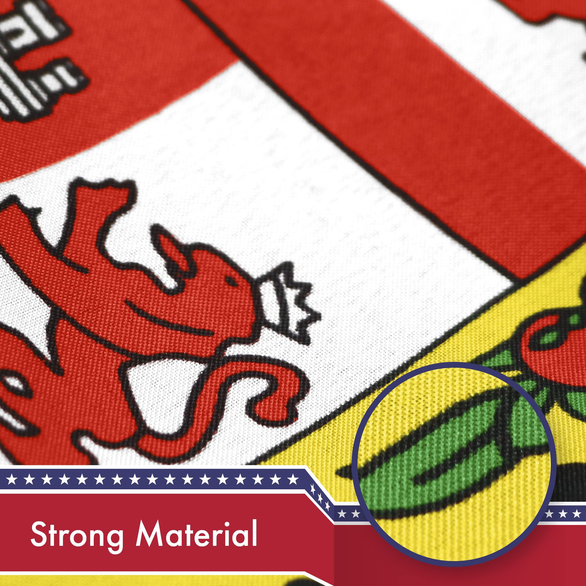 G128 - Los Angeles City Flag - Image 4