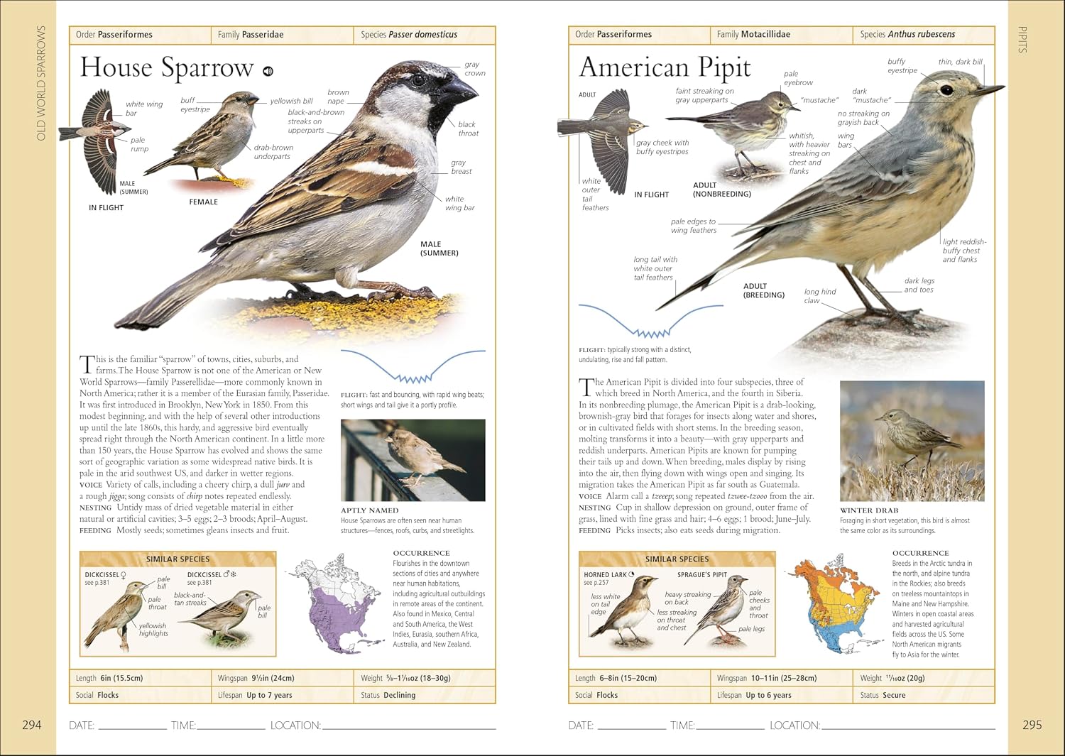 Birds of Eastern Canada