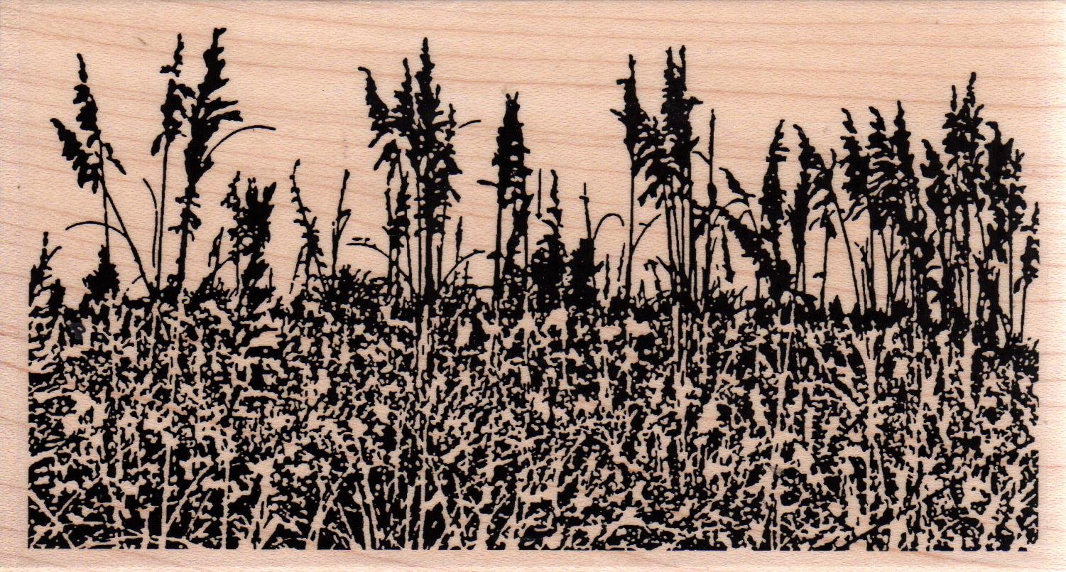 Dune Grass Wood Mounted Rubber Stamp (F16384