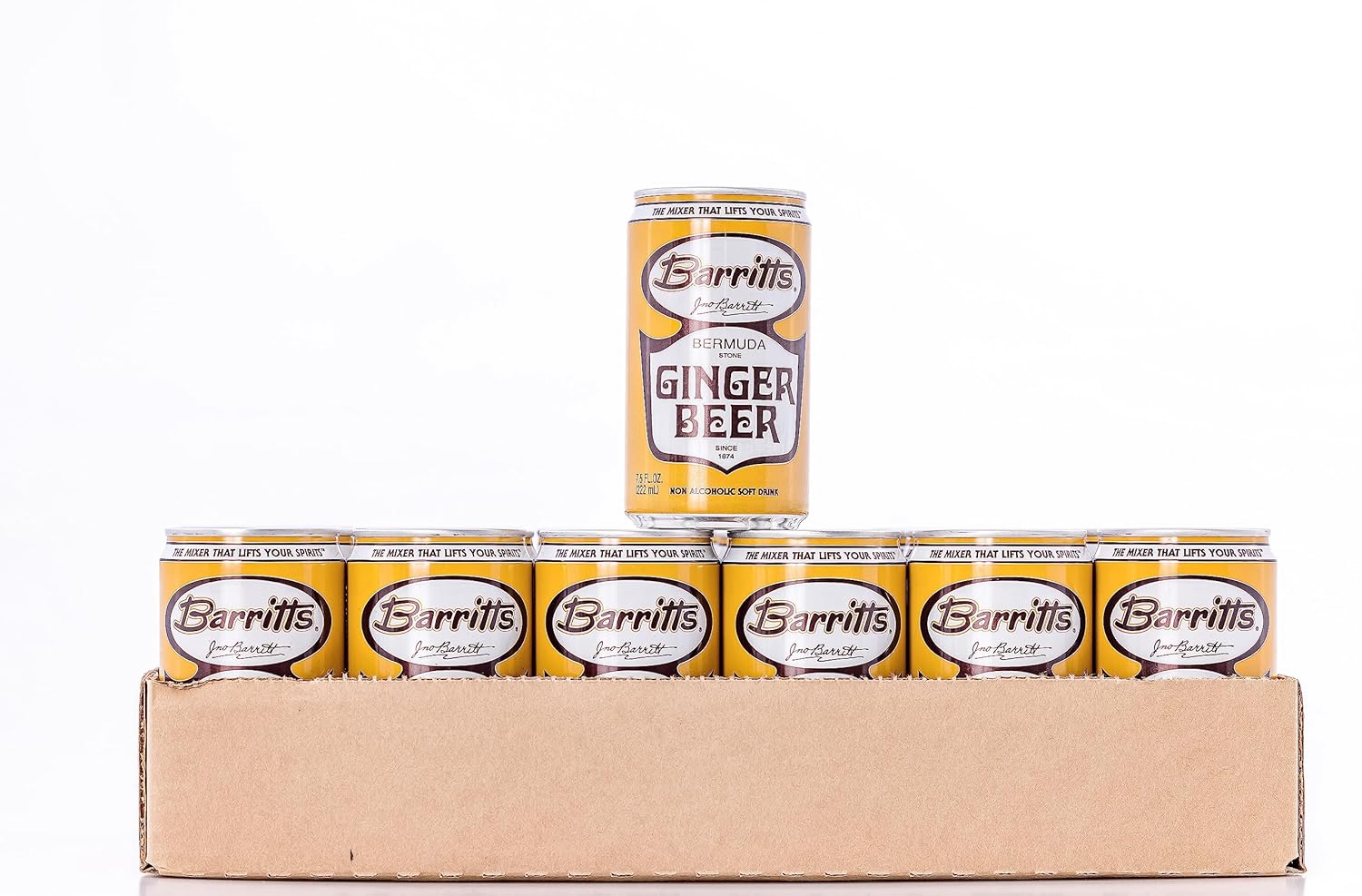 Barritt's Ginger Beer Original Ginger Beer, Non-Alcoholic Soda Cocktail Mixer, 7.5 fl oz Cans, 24 Pack, Mini, Gluten Free