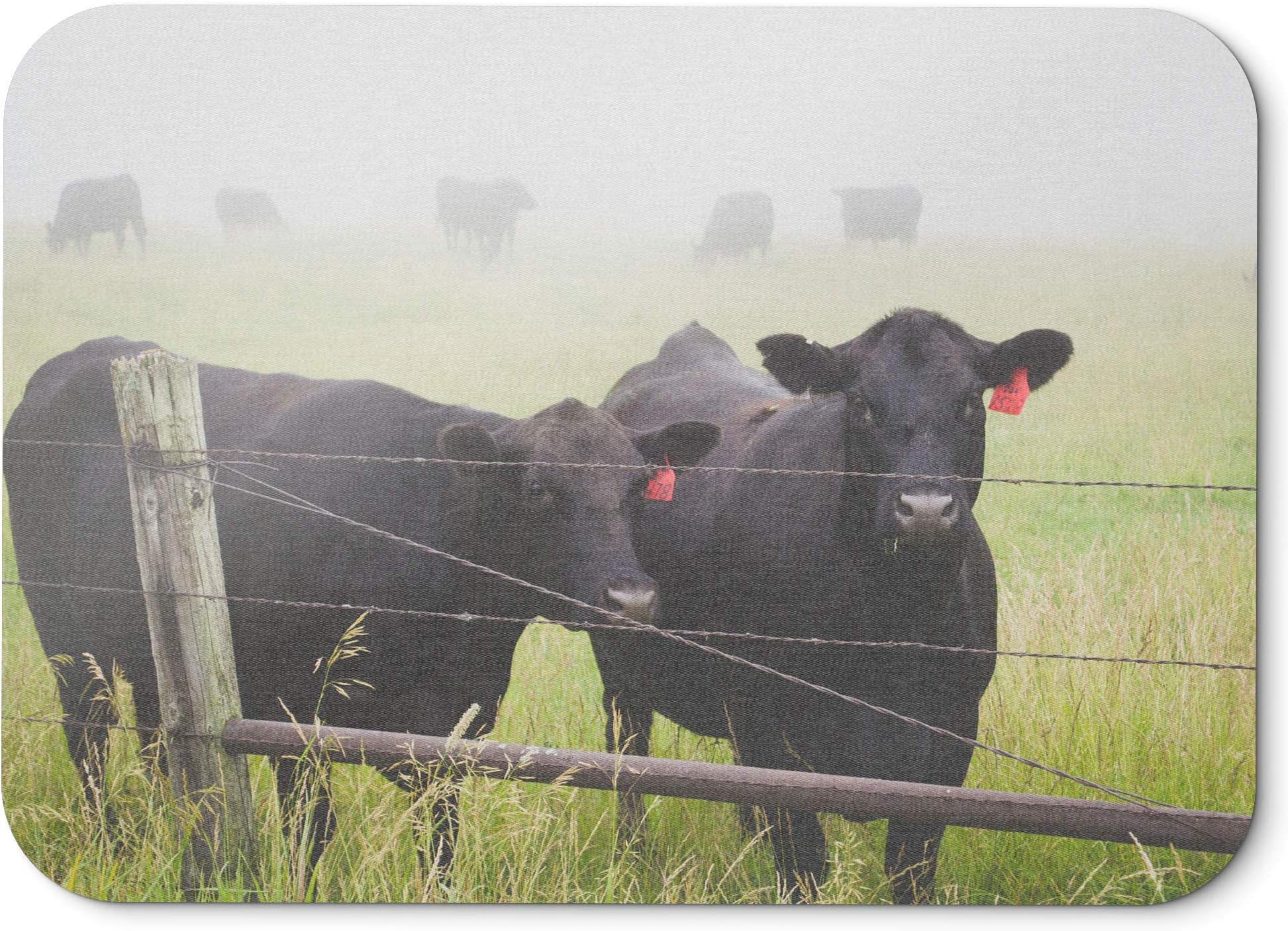 westlake art - Cattle Cow - Mouse Pad - Non-Slip Rubber Picture Photography Home Office Computer Laptop PC Mac - 8x9 Inch (D41D8)