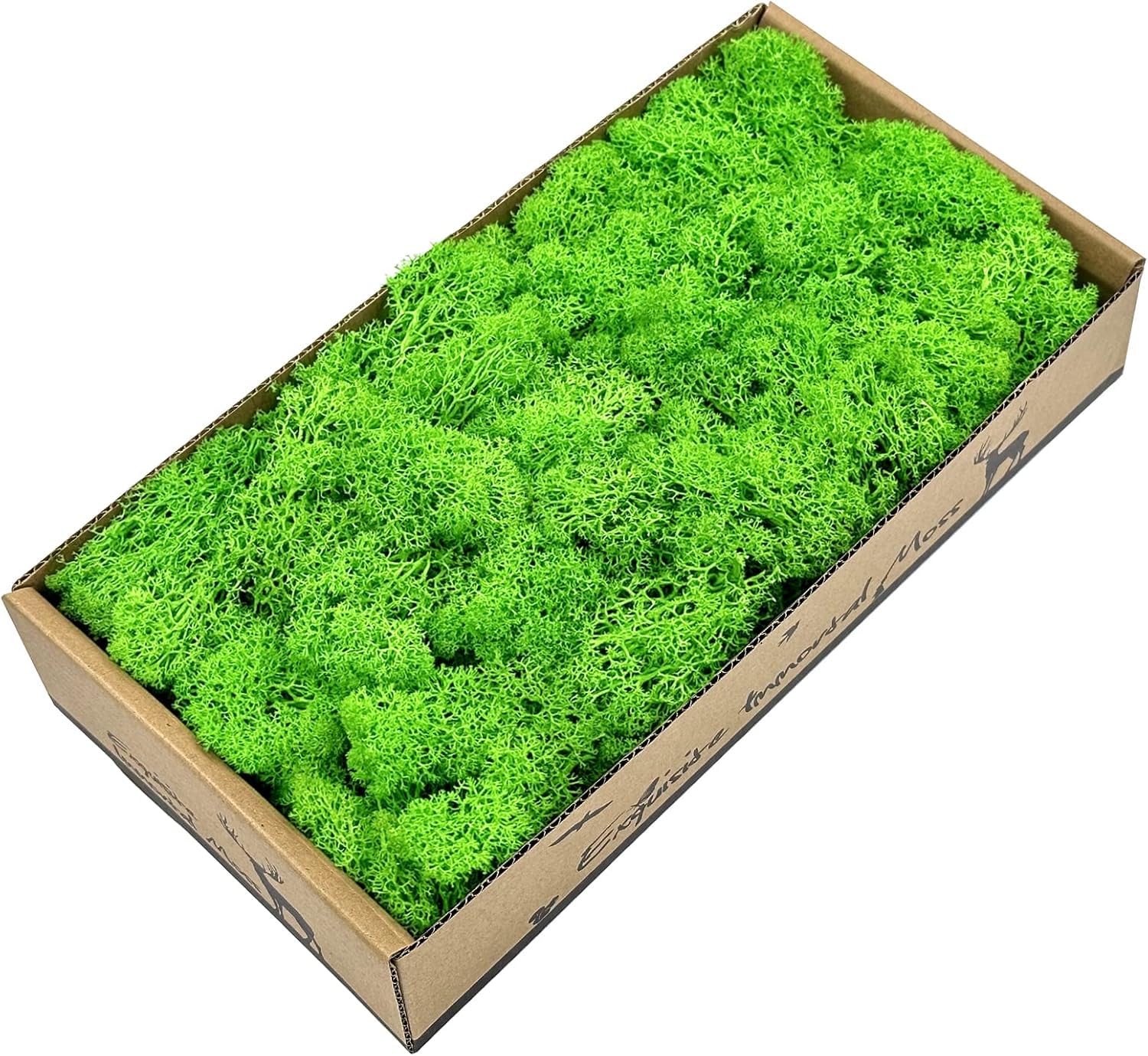De Gardenia Preserved Reindeer Moss – Natural Multicolored Moss for Crafts, DIY Arts, Home & Office Wall Décor – Bulk 100g to 1000g Packs (Light Green, 100g)-image-37