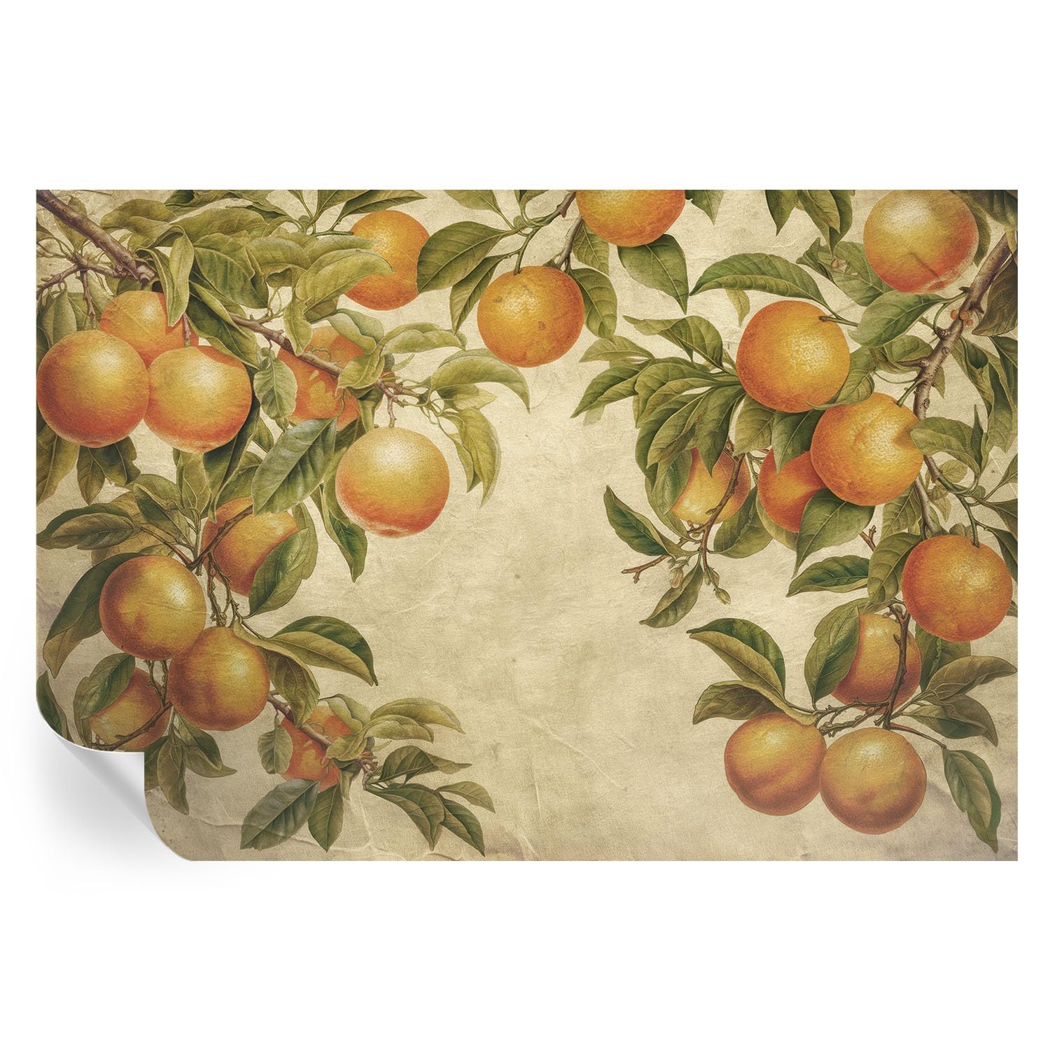 Murales de pared para comedor y salones con ramas frutales de 152x104 cm