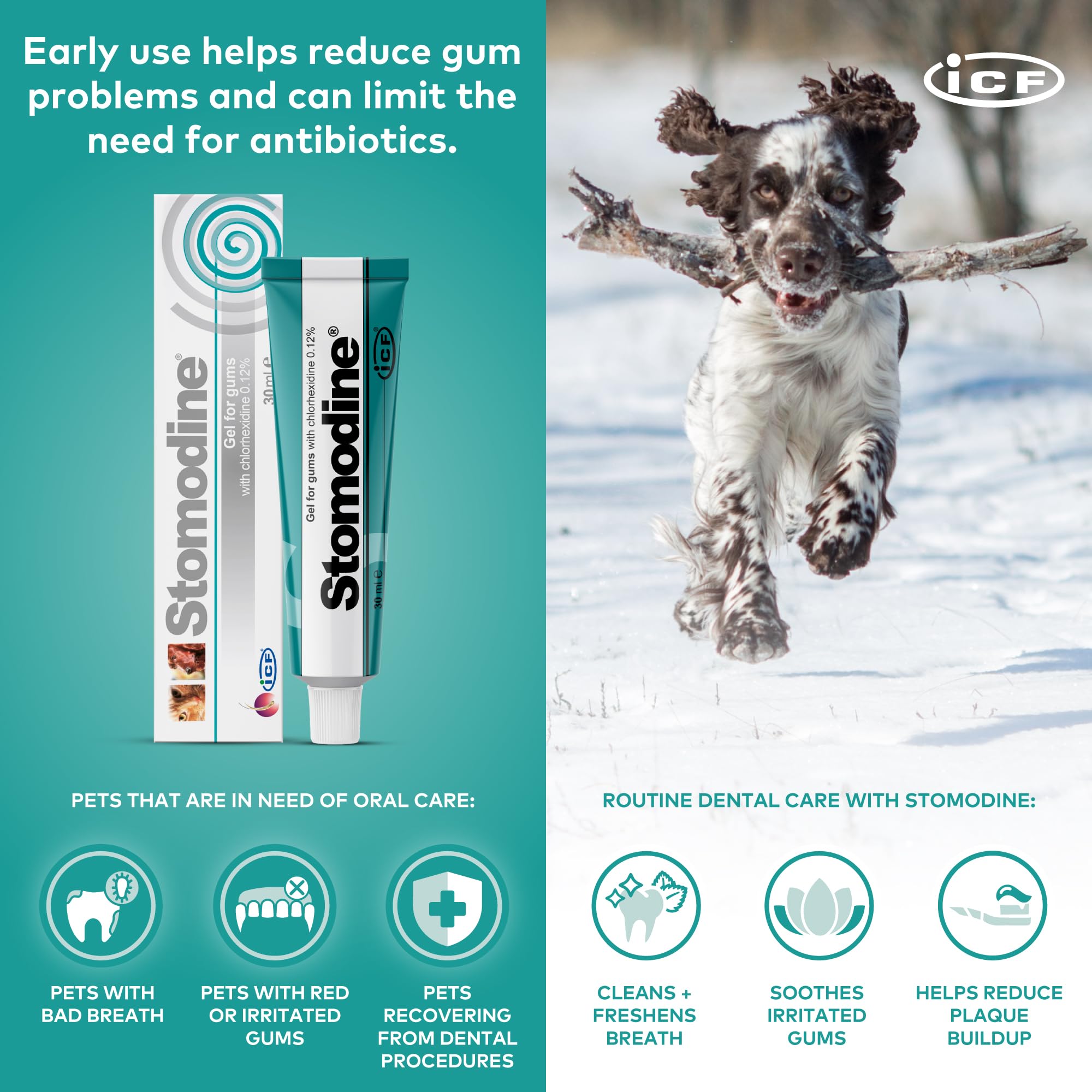 I.C.F. Stomodyne 30 Ml