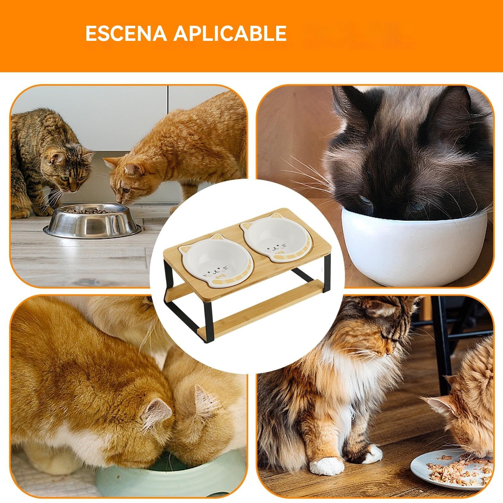Erhöhte Katzennäpfe Für Futter Hochgestellte Katzenschüssel | Doppelte Höhe Mit Rutschfester Holz Basis & Schräg Design Auslaufschutz Für Wohnung Katzen Trinknapf