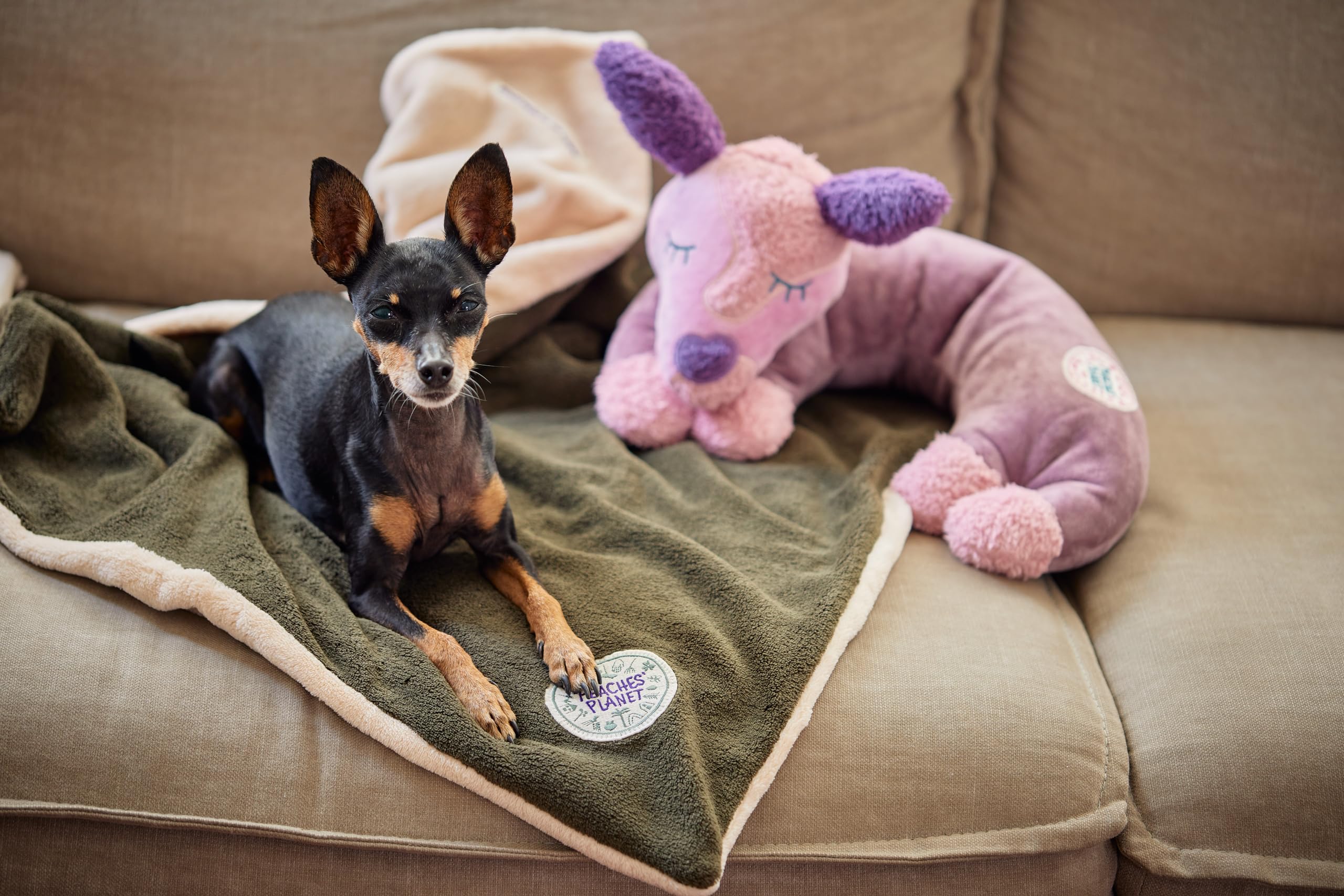 Jouet de luxe pour chien Sleepy Peaches Purple Dreams 37 cm de longueur extérieure, Jouet pour Chien