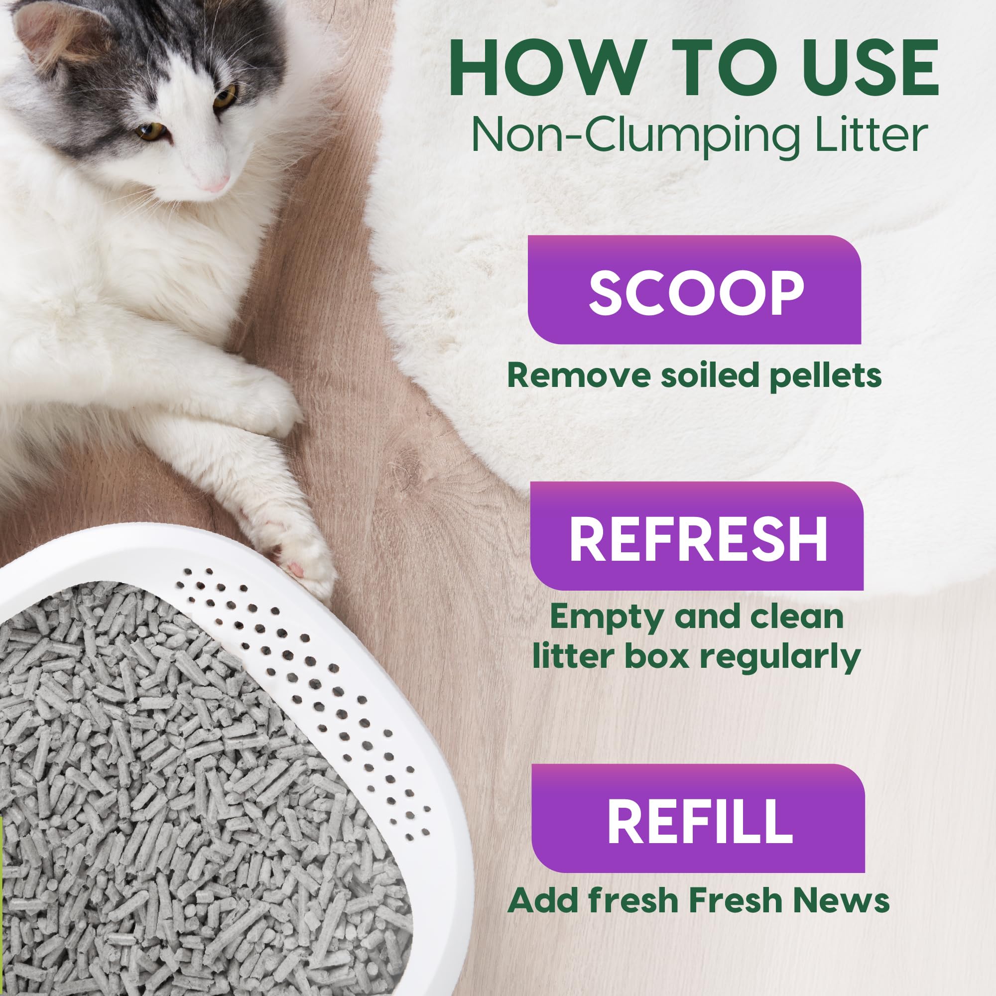 Fresh News Arena de Papel para Gatos Multi Cat Que no se aglutina, Bolsa de 25 Libras