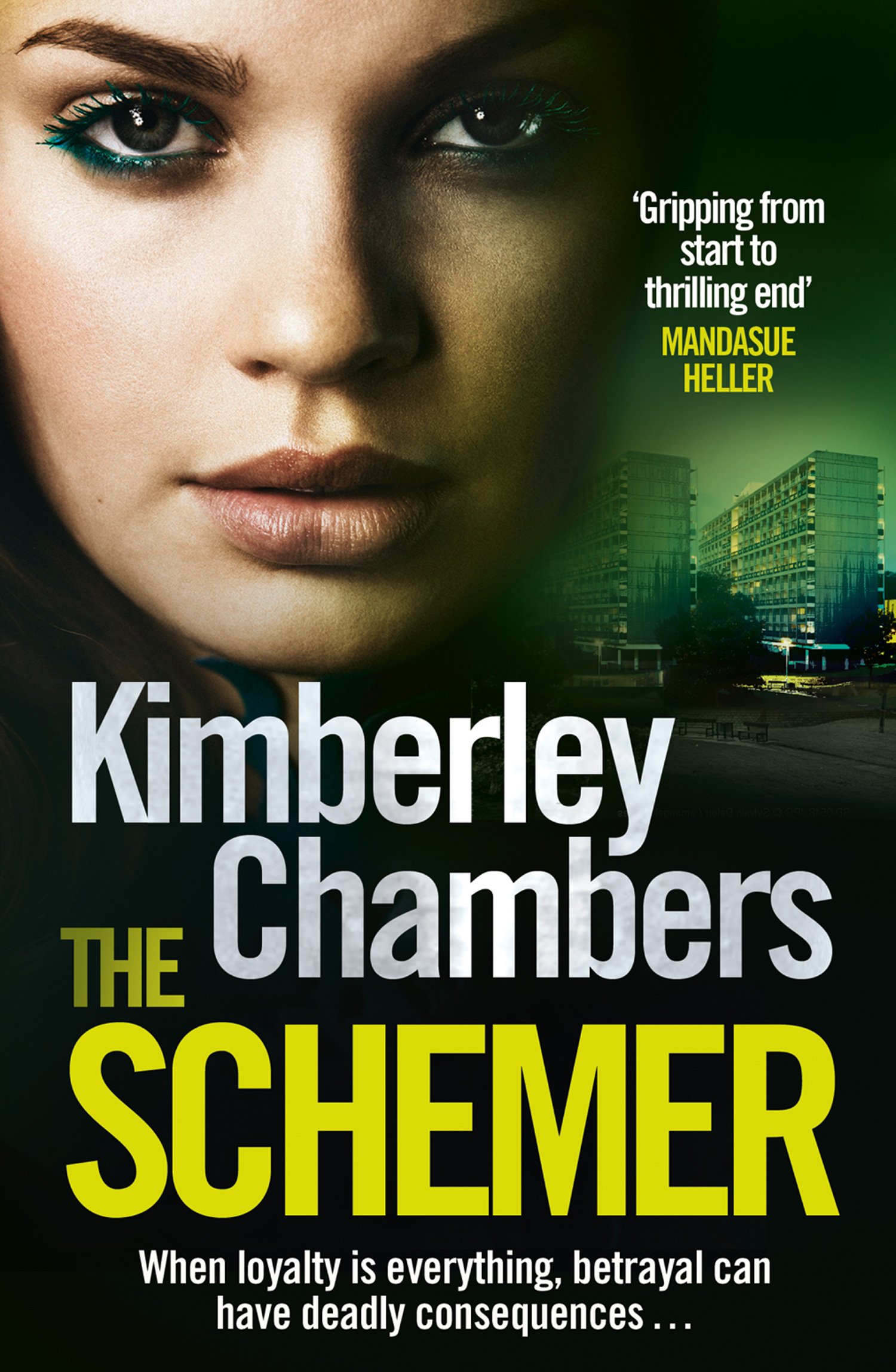 The Schemer: A gripping romantic suspense novel from the Sunday Times bestselling author