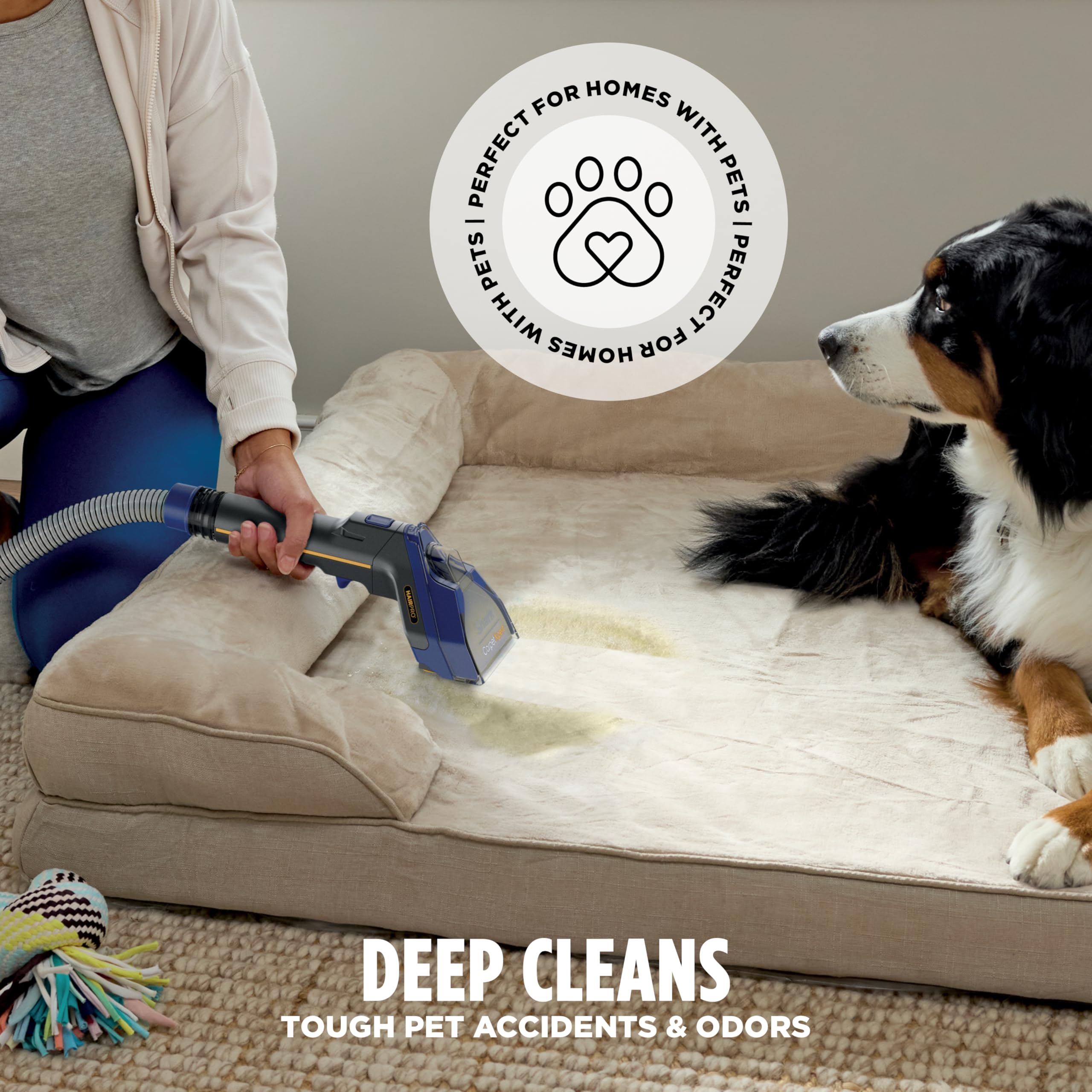 Shark CarpetXpert HairPro - Limpiador vertical integrado para alfombras y tapicería, perfecto para mascotas, limpieza profunda, removedor de manchas y olores, recogida de pelo, champú de alfombras,