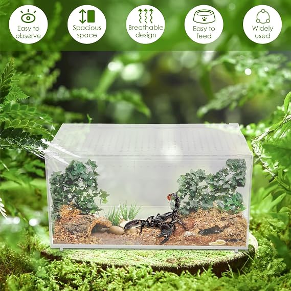 Large Reptile Terrarium 30x20x15cm, Transparent Acrylic Habitat Breeding Feeding Tank with Ventilation & Escape-Proof Design for Reptiles Such As Snakes, Lizards, Spiders, Frogs, etc.