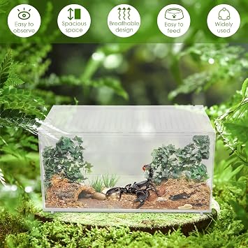 Large Reptile Terrarium 30x20x15cm, Transparent Acrylic Habitat Breeding Feeding Tank with Ventilation & Escape-Proof Design for Reptiles Such As Snakes, Lizards, Spiders, Frogs, etc.