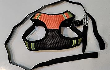 Adjustable Full Body Harness Leash Set for Dog