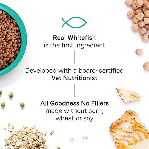 Miniatura 2 de Canidae Goodness para gatos de interior, alimento seco prémium para gatos adultos con pescado blanco real, 10 libras.