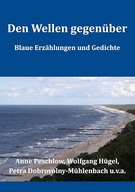 Portada de Den Wellen gegenüber