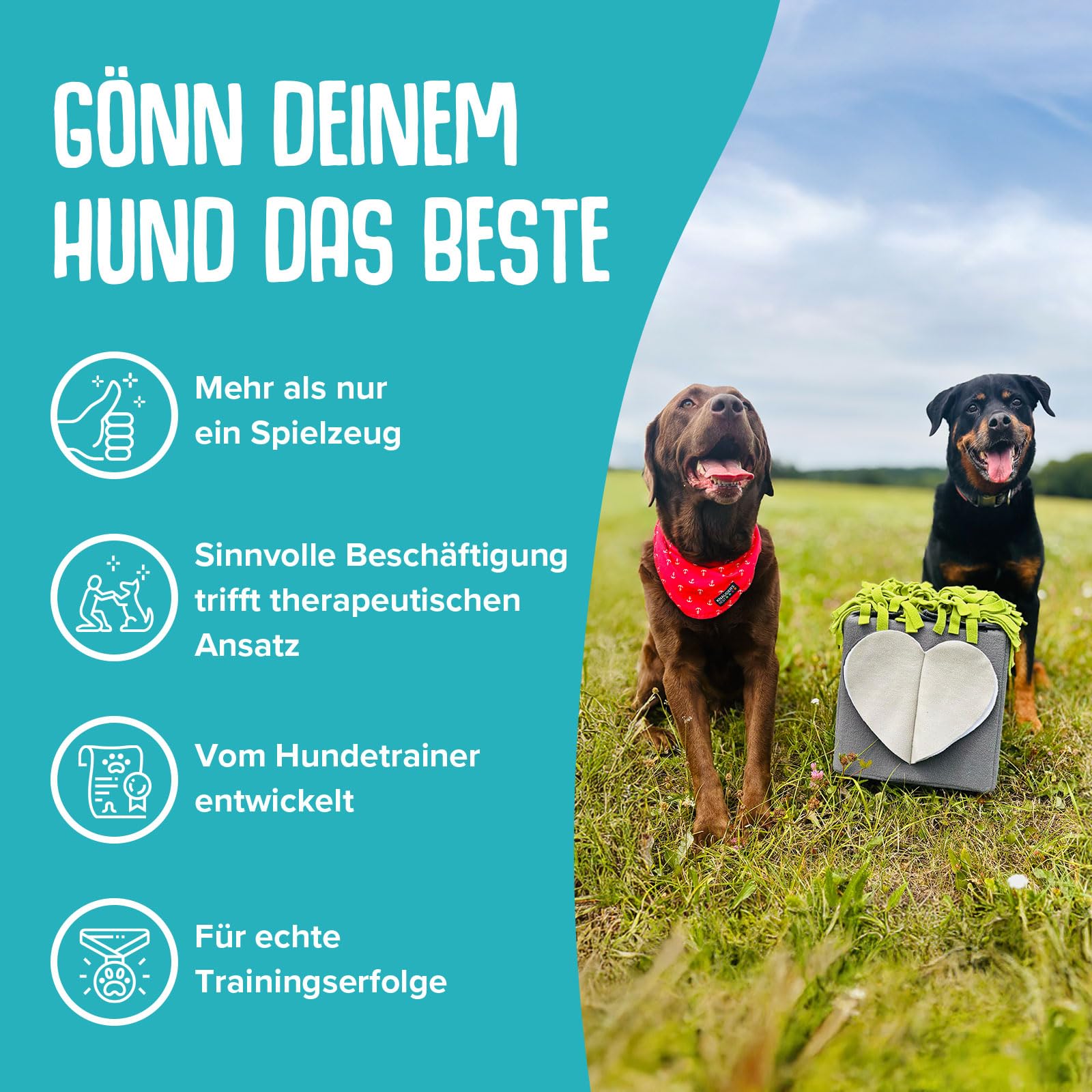 KNAUDER'S Best - SNIFFBOX 2.0 - Beschäftigung für Hunde auf 30x30cm - waschbares, interaktives Hundespielzeug für Suchspaß auf Mehreren Ebenen - Hundespielzeug aus 100% Polyester - Ökotex 100