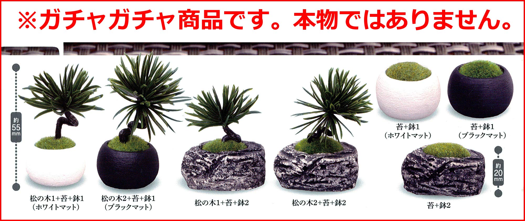 Amazon｜BONSAI 盆栽 ［全7種セット（フルコンプ