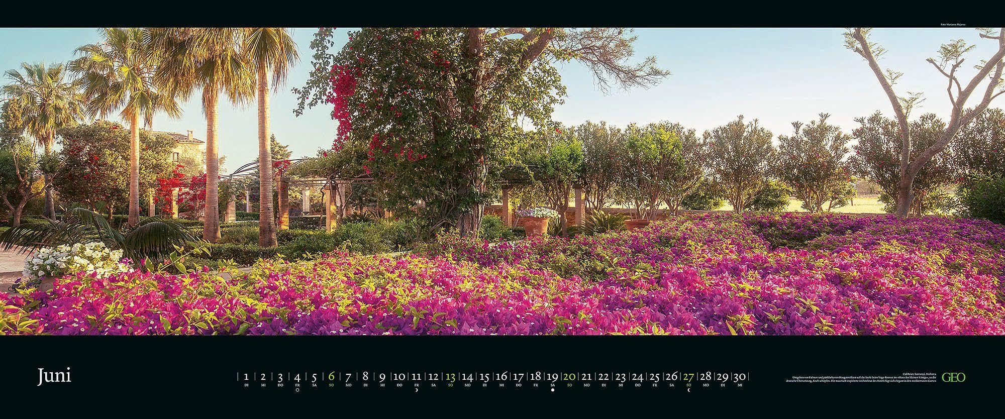 GEO Panorama: Die schönsten Gärten 2027: XXL Wandkalender 120x50cm mit 12 Gartenfotografien, deutschem Kalendarium und Spiralbindung | XXL Wandkalender 120x50cm mit 12 Gartenfotografien, deutschem Kalendarium und Spiralbindung