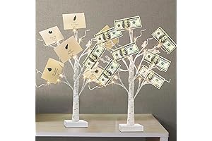Lighted 22 Inch Money Tree Gift Holder with Clips
