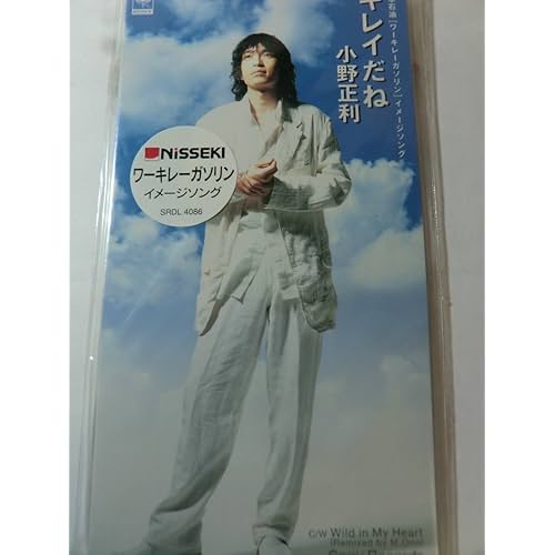 キレイだね / 小野正利