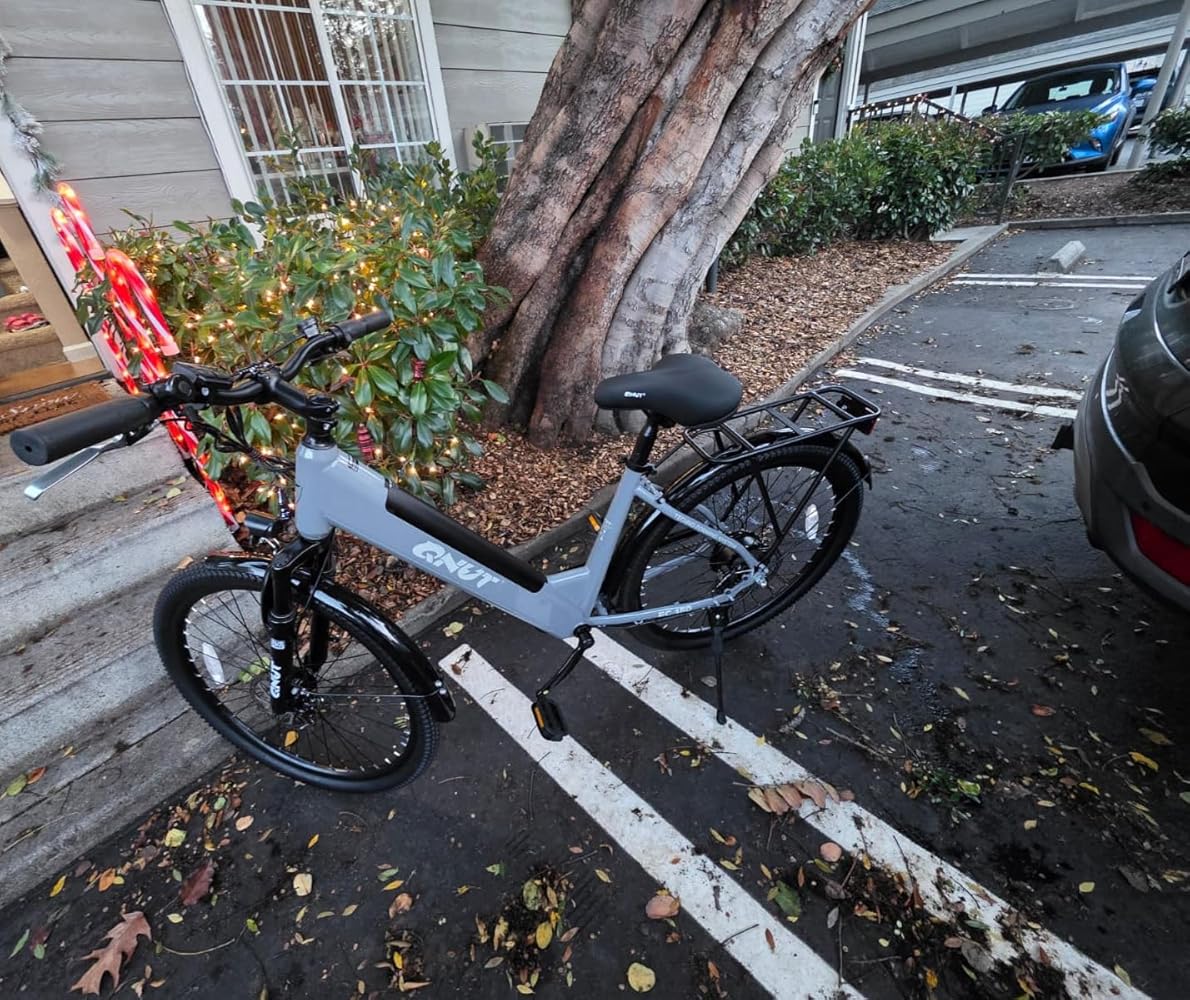 QNUT EC150 Commuter E-Bike