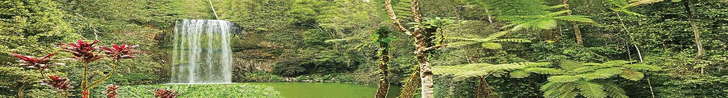 Reptile Habitat Background; Rain Forest, Waterfall, Red Leaves, for 72Lx24Wx18H Terrarium, 3-Sided Wraparound